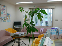 医療法人社団けやき会 仙台中央病院の正職員 看護助手 病院 消化器内科 一般外科 一般内科 循環器内科 皮膚科 その他の診療科目の求人情報イメージ4