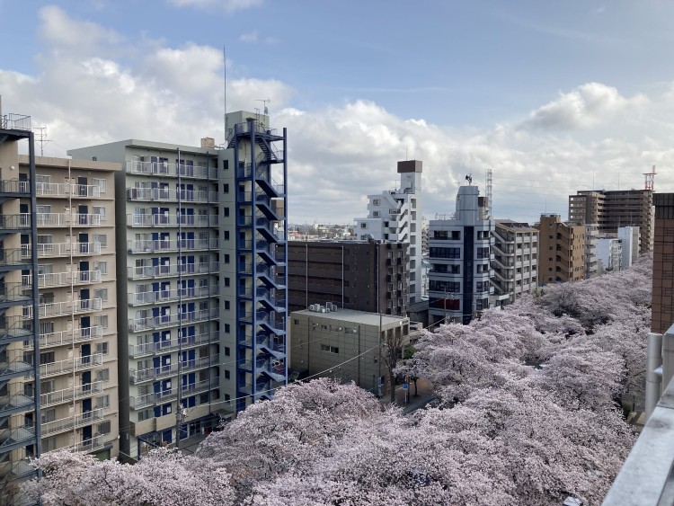 医療法人社団仁和会 さがみ仁和会病院の正職員 看護助手 病院 急性期病棟 整形外科 一般外科 一般内科 脳神経外科 神経内科 その他の診療科目の求人情報イメージ6